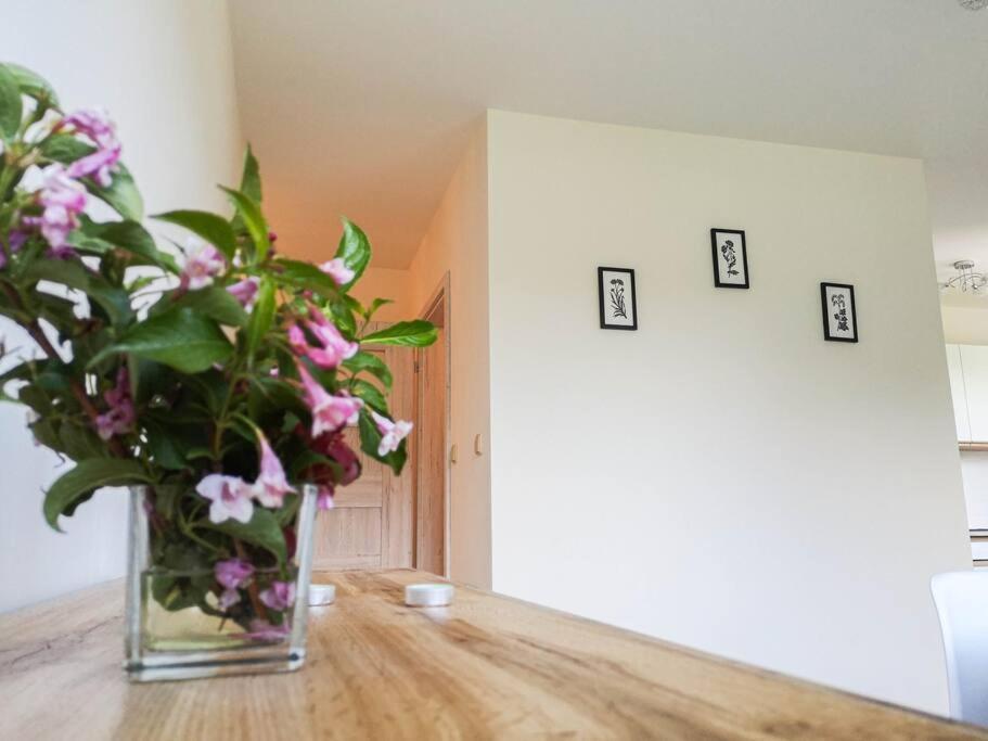 Apartament Hubertus Bochnia Buitenkant foto
